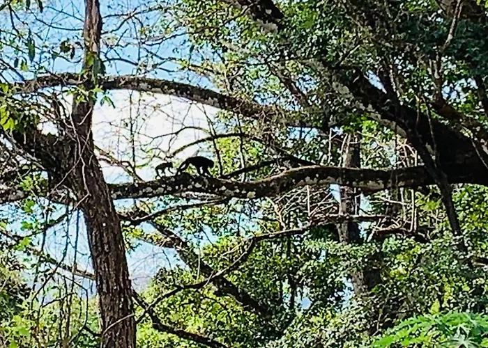 Lodge Del Bosque Nandayure